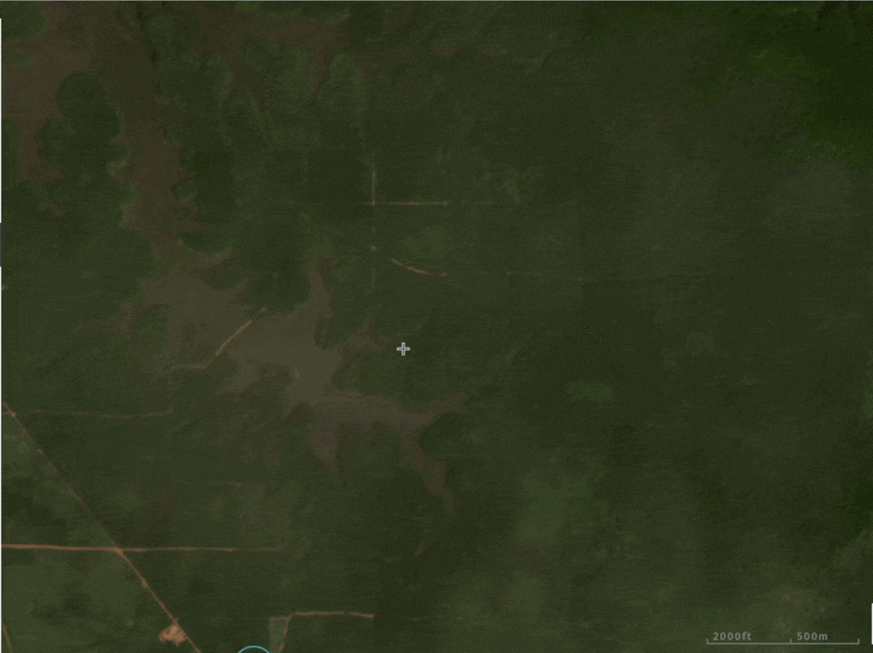 Satellite imagery shows forest clearing between early 2021 and April 2023 in Medco’s concession.