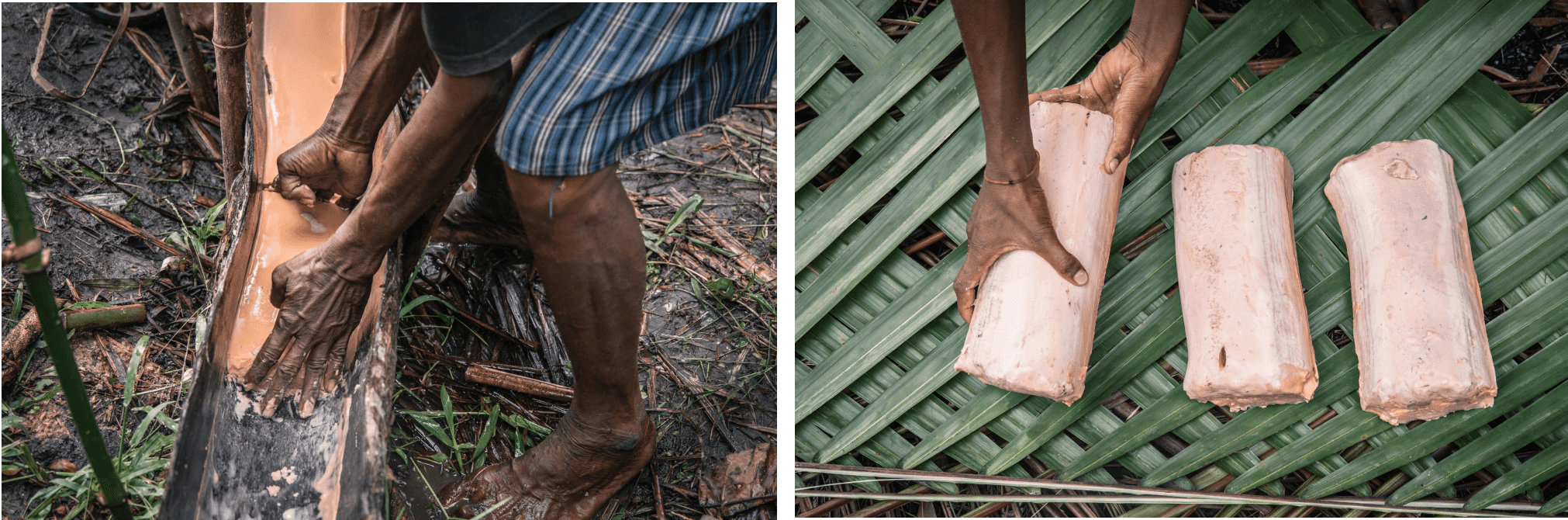 Photos of the processing of sago, traditionally the main staple for the Marind living in Zanegi.