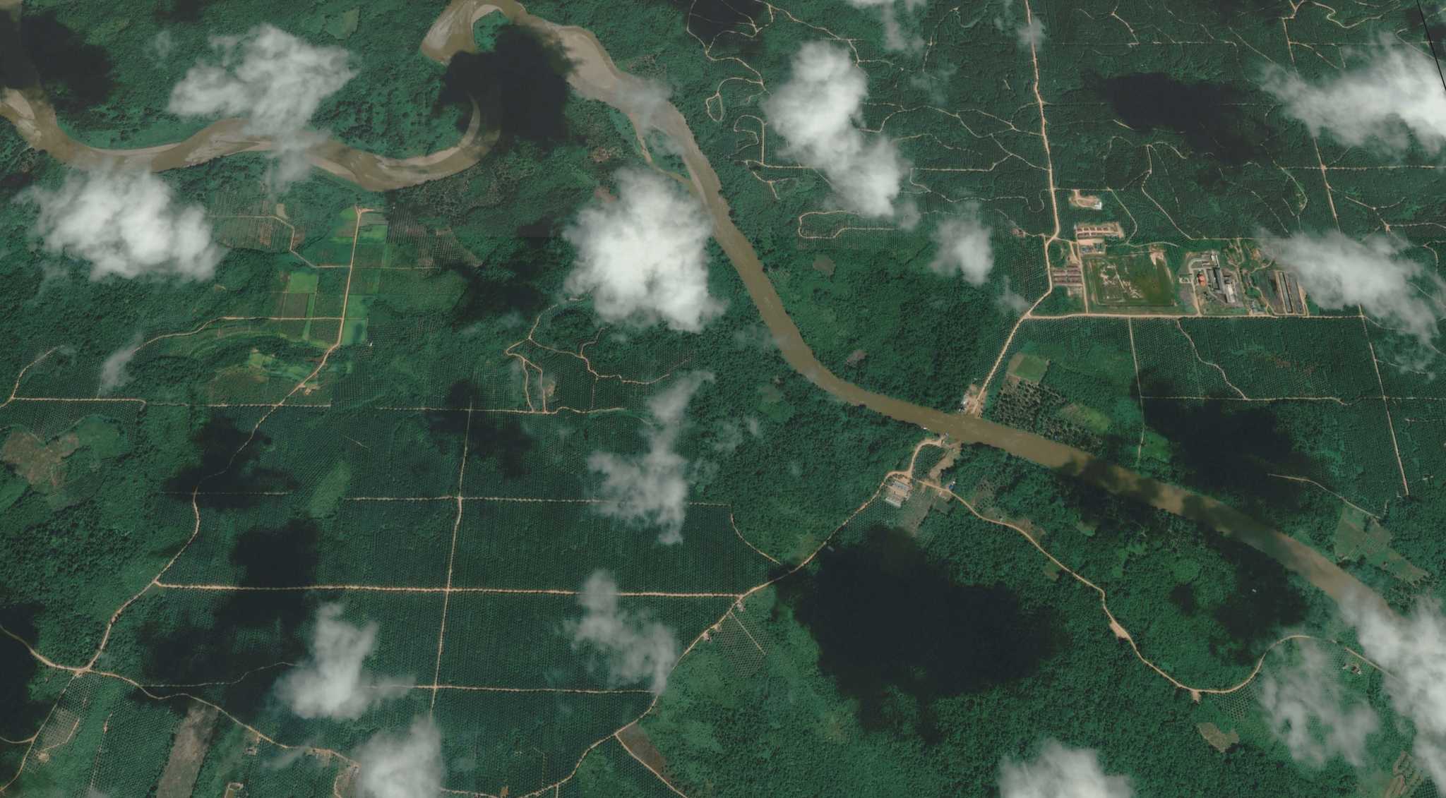 Nusantara Wahau Coal, one of the companies set up by Prabowo, holds a coal mining permit for land in East Kalimantan.