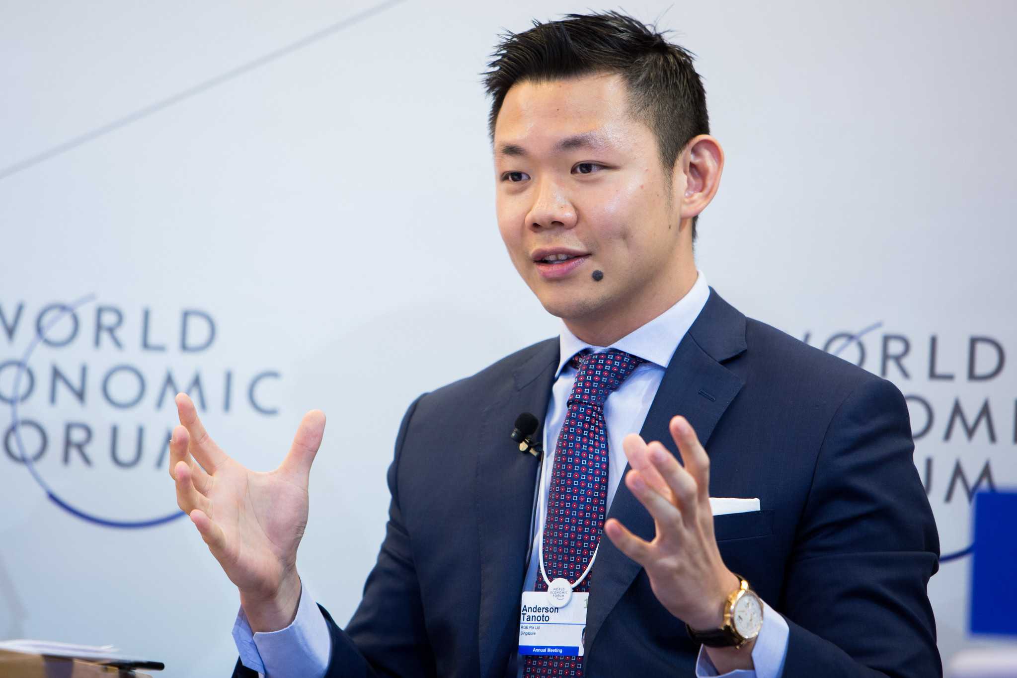 Anderson Tanoto speaking at a World Economic Forum event in Davos.