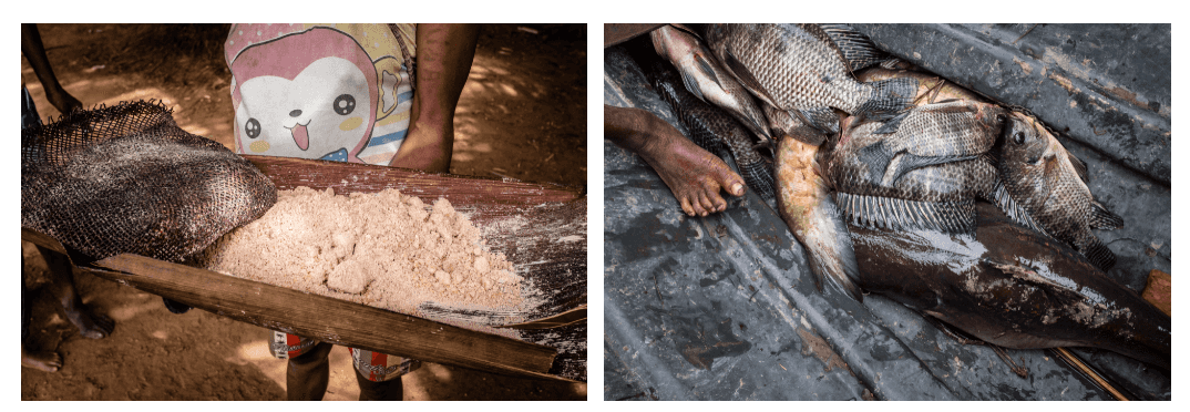 Sago starch and fish gathered by indigenous people in southern Papua in 2019.