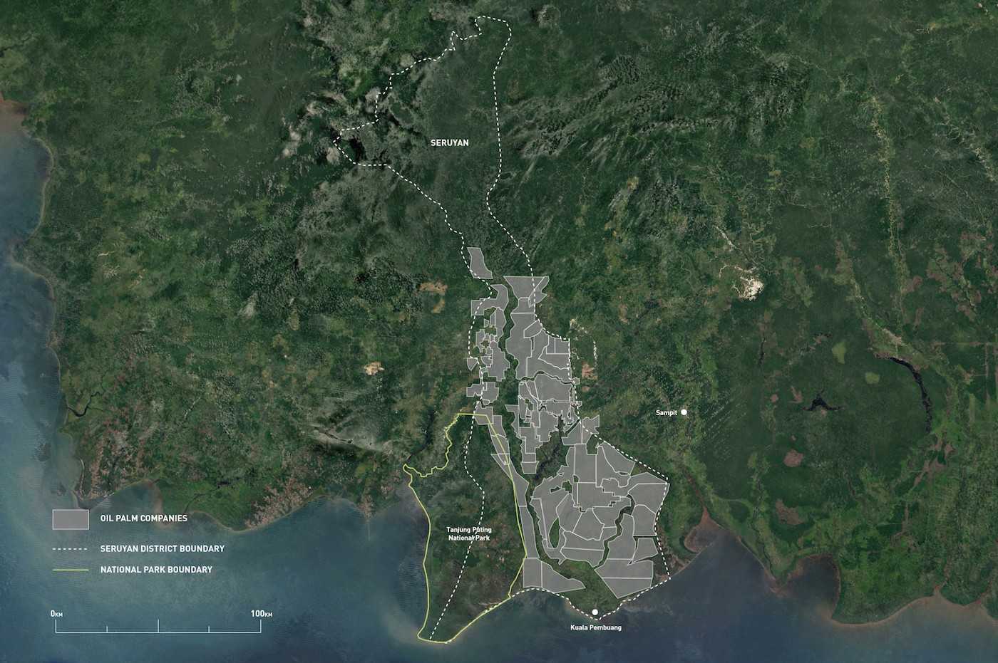 Plantation licenses were issued over most of Seruyan, including inside Tanjung Puting National Park.