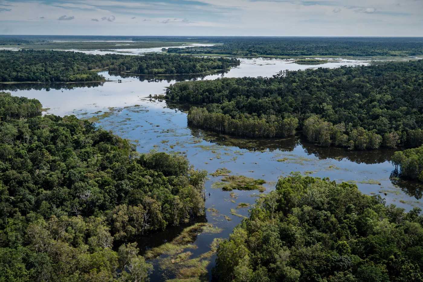 Wetlands and rainforest in southern Papua.