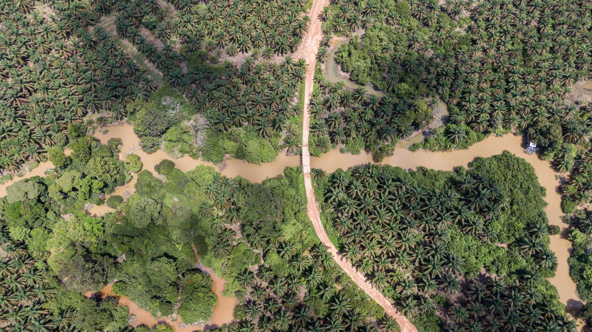 The Kelumpang river weaves through London Sumatra’s plantation in North Musi Rawas district, South Sumatra province.