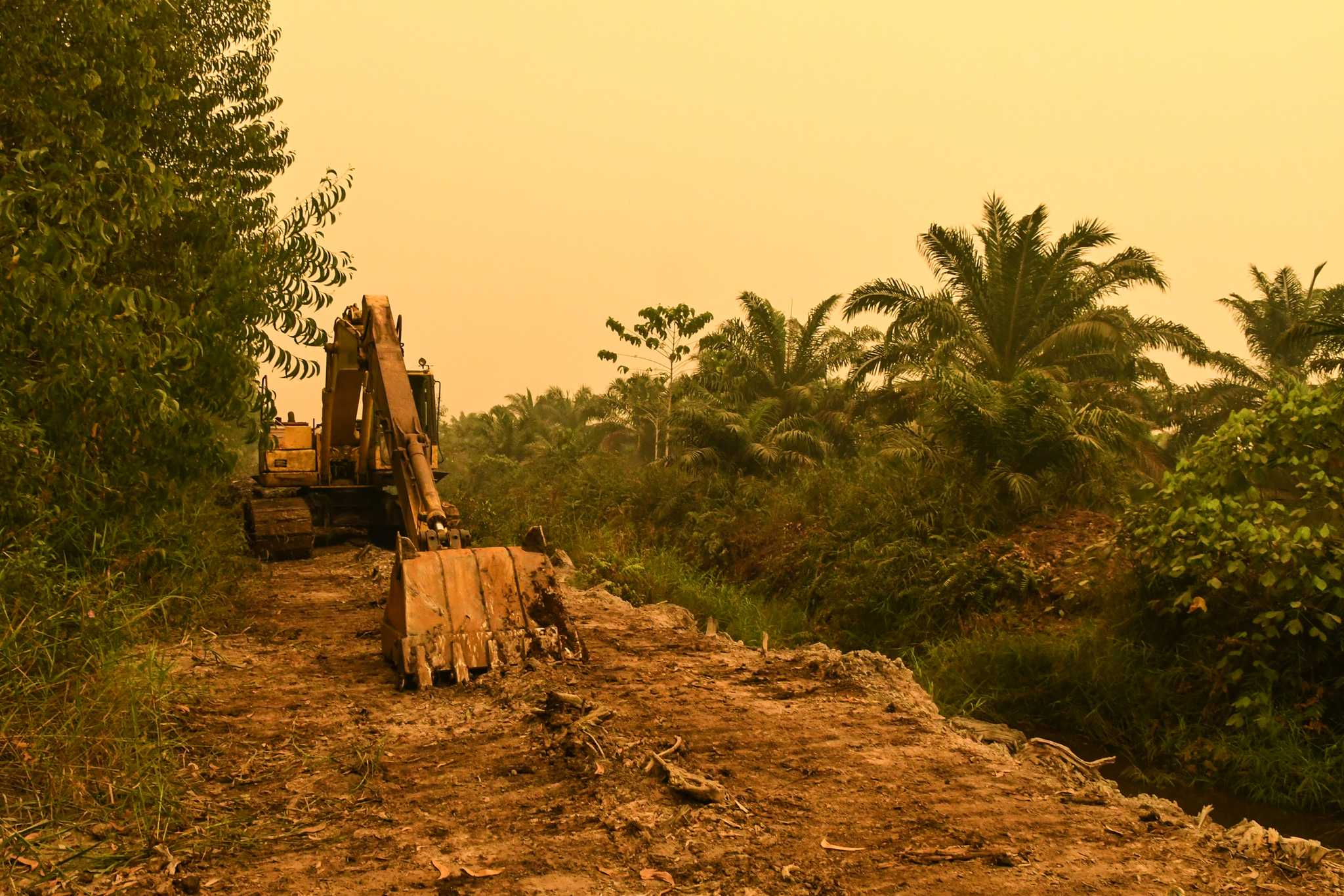 An excavator operates in peatland covered by haze from fires in 2019 in East Tanjung Jabung, Jambi province.