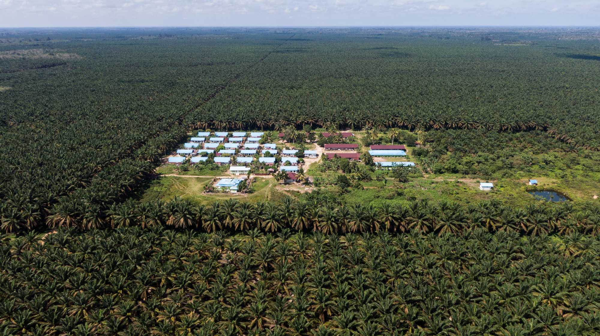 Housing for employees in the London Sumatra plantation in Tebing Tinggi.