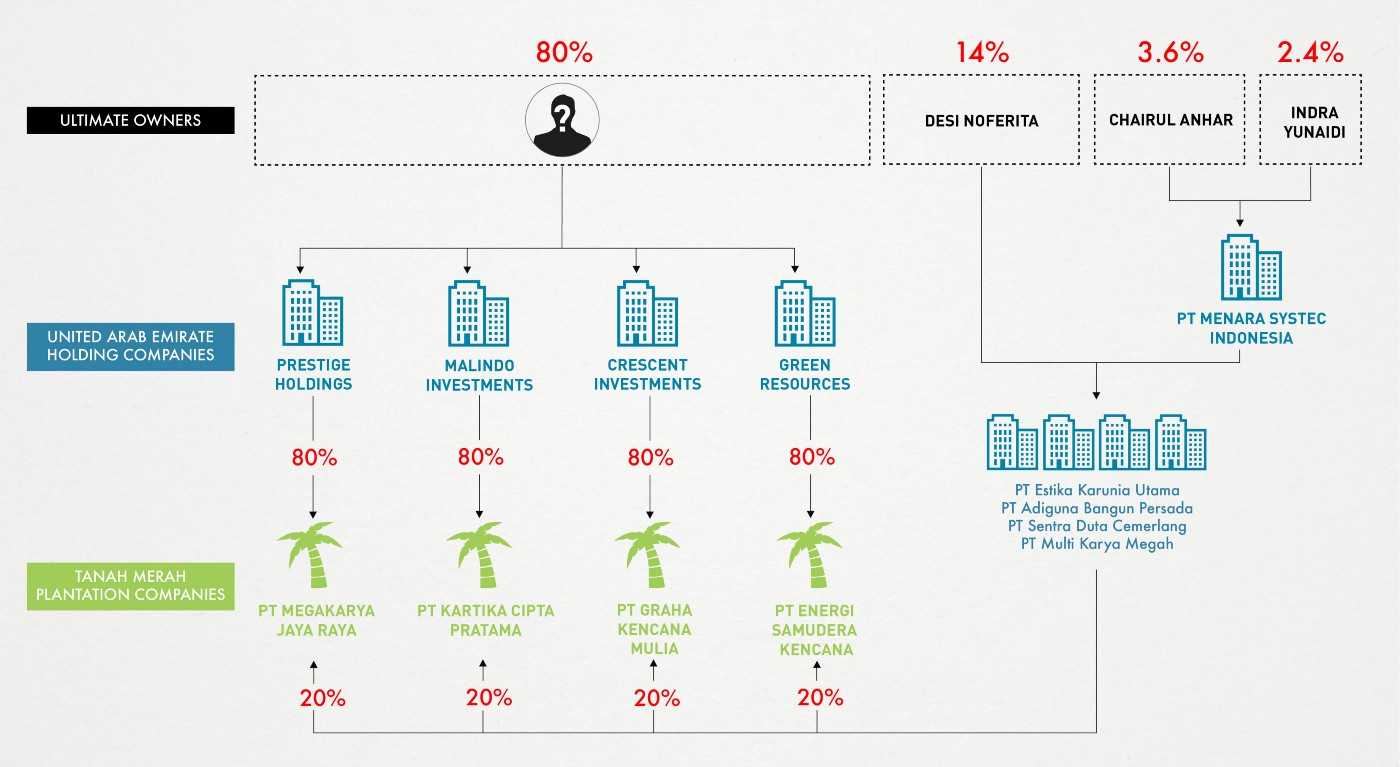 Graphic showing ownership structure of four companies with rights to the Tanah Merah project, after the sale to the anonymous companies in the UAE