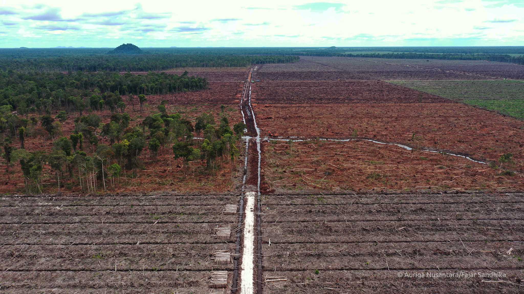 Aerial photo of deforestation by PT Mayawana Persada in West Kalimantan province.