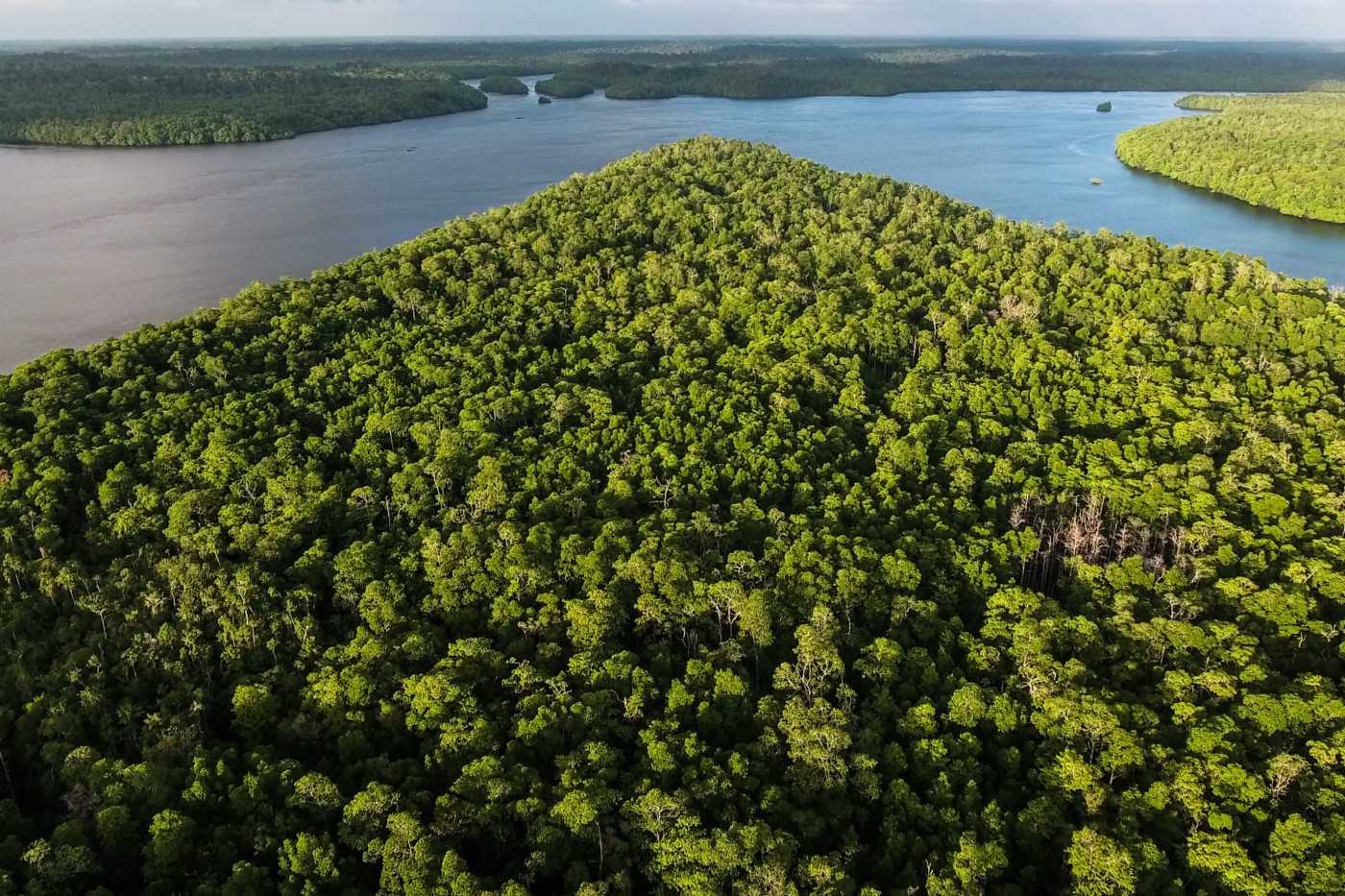 The Aru Islands, packed closely together, are divided east to west by three winding channels opening out to the sea at either end. By Forest Watch Indonesia.