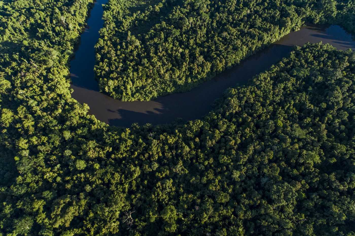Drone photo of rainforest and a river in Boven Digoel, 2017.