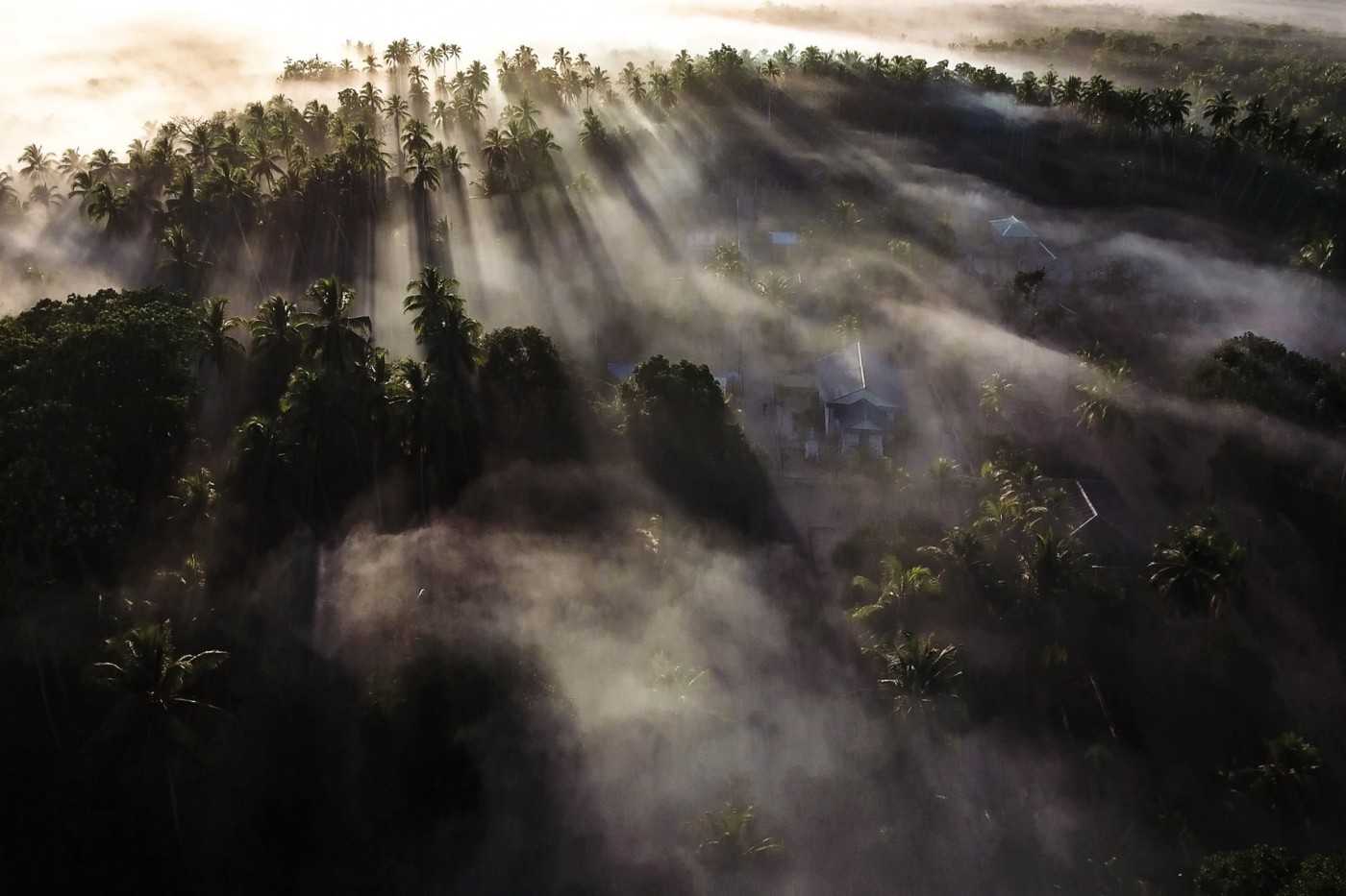 The Menara project threatened to destroy the existing livelihoods thousands of people who depend upon Aru’s forests. By Forest Watch Indonesia.