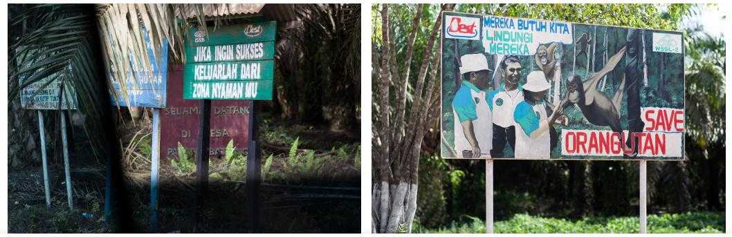 A sign erected by the BEST Group, left, reads, “If you want to succeed, get out of your comfort zone.” Another sign depicts company employees interacting with orangutans: “They need us to protect them.”