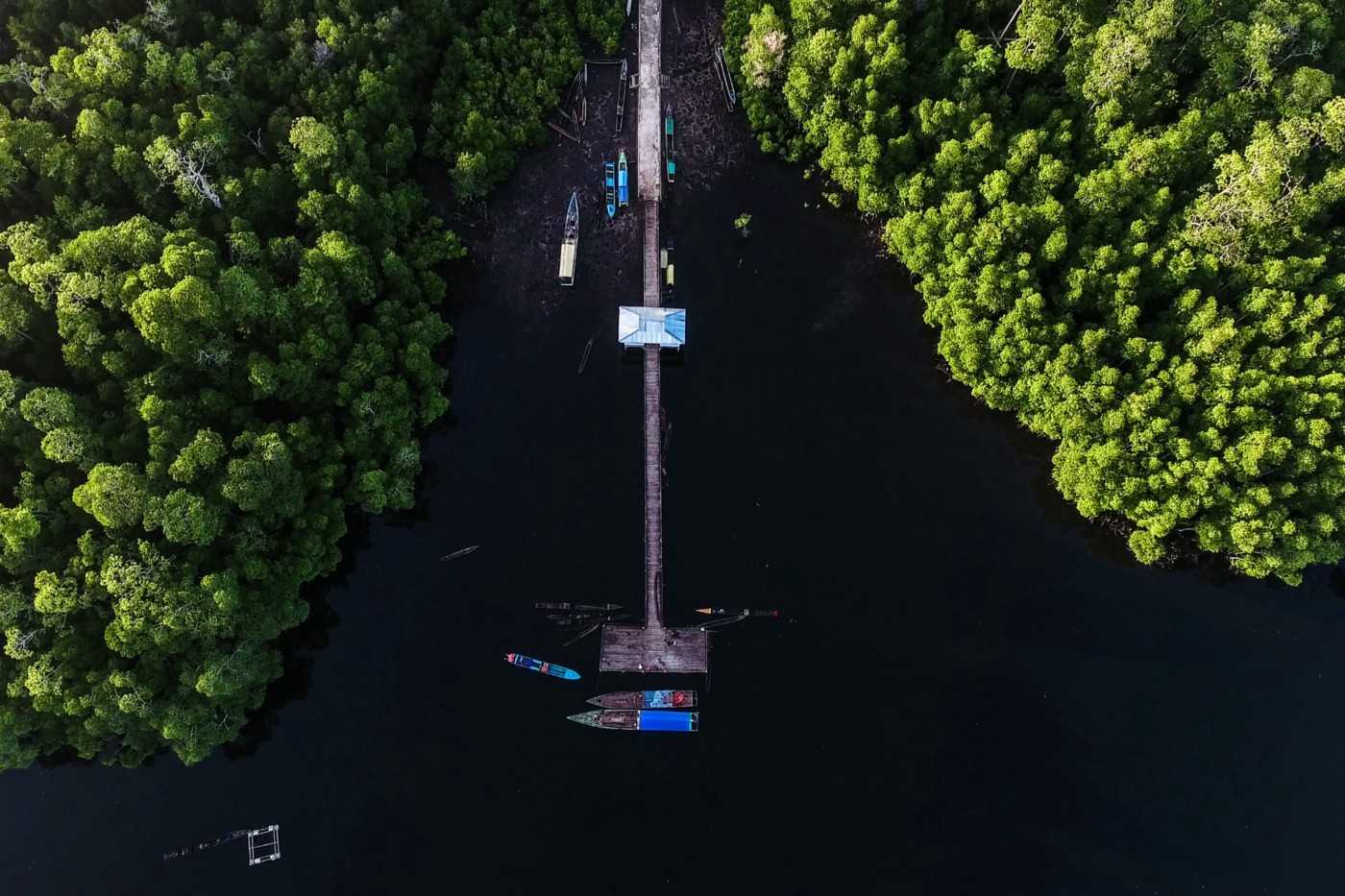 The endless chemical inputs required to grow such a vast stretch of sugarcane would seep into the rivers and sea. By Forest Watch Indonesia.