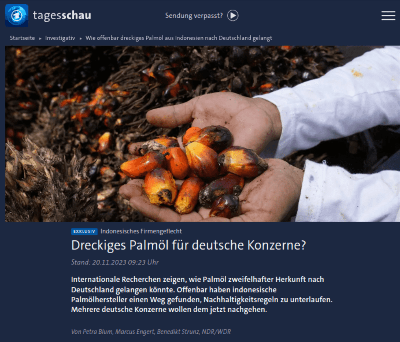 Image of the article on Tagesschau's homepage.