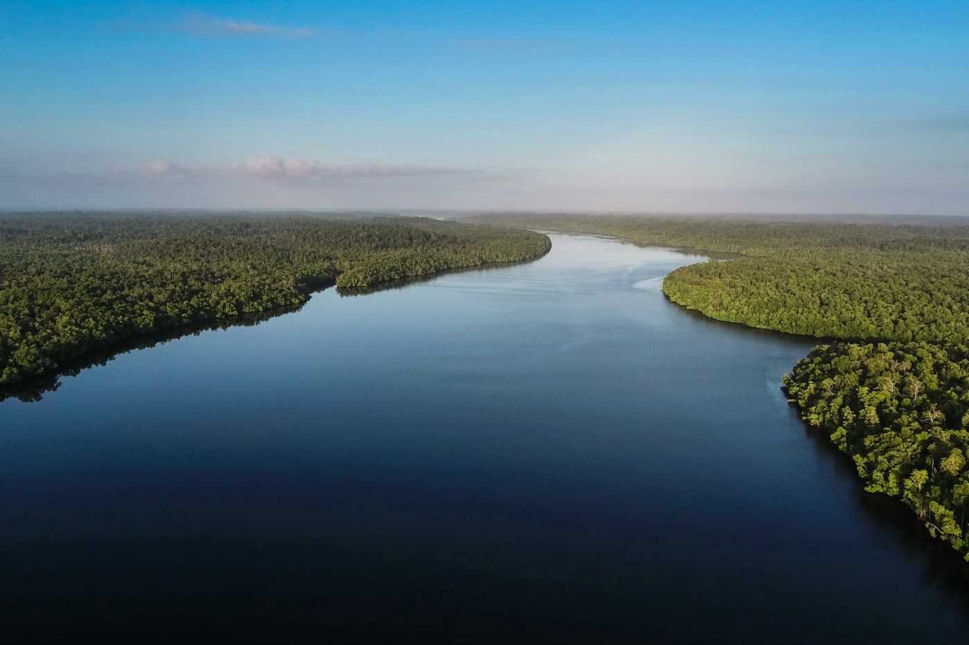 Without the mangroves, much of which fell within Menara’s permits, large swaths of Aru’s coastline would wash away. By Forest Watch Indonesia.