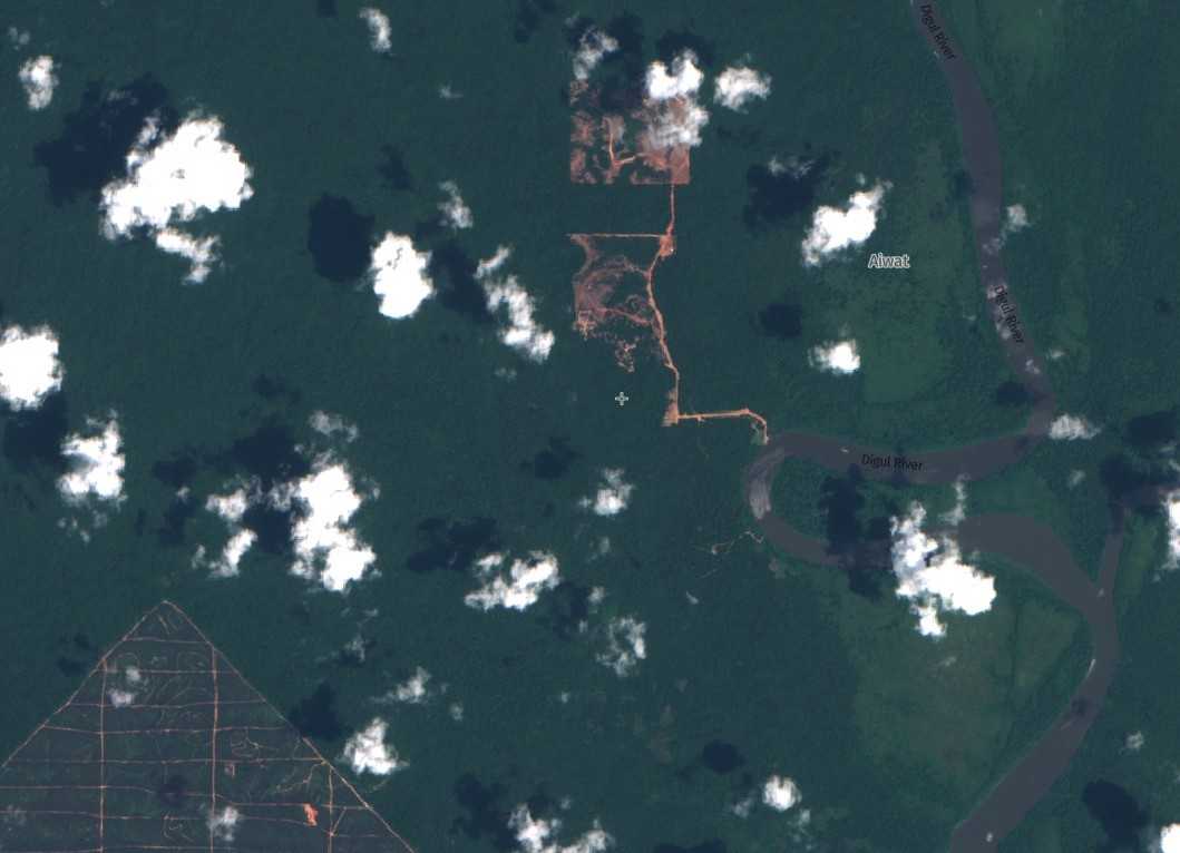 Forest clearing in the Digoel Agri Group concessions as of 27 November 2019. Sentinel.